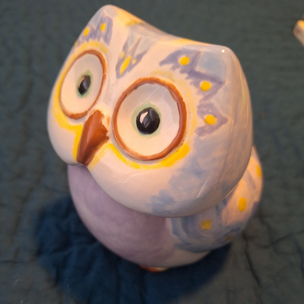Watercolor Owl Ceramic Storage jar